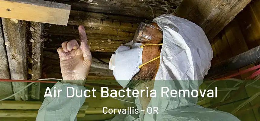 Air Duct Bacteria Removal Corvallis - OR
