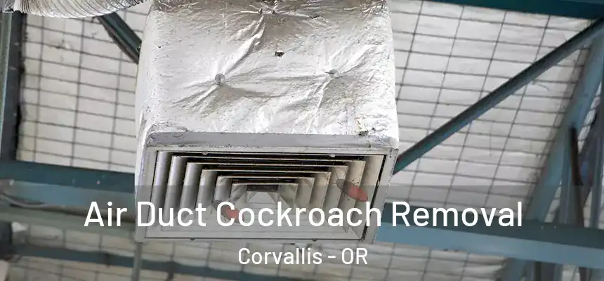 Air Duct Cockroach Removal Corvallis - OR