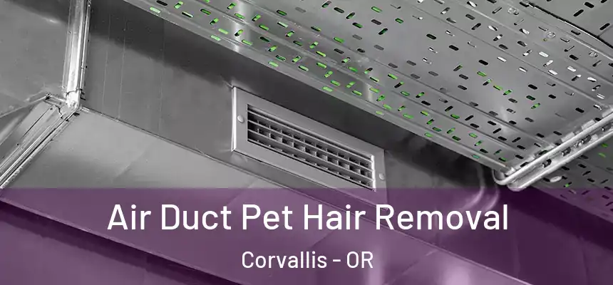  Air Duct Pet Hair Removal Corvallis - OR