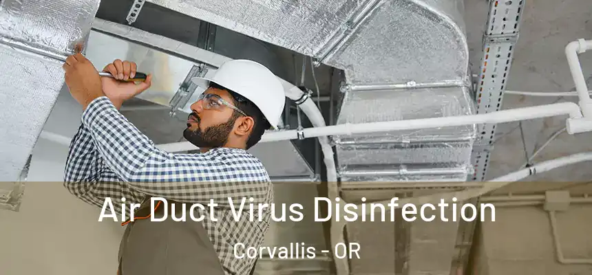  Air Duct Virus Disinfection Corvallis - OR