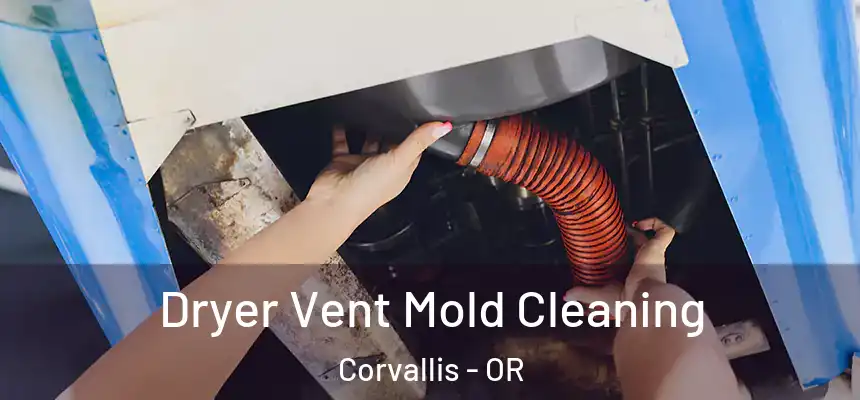 Dryer Vent Mold Cleaning Corvallis - OR