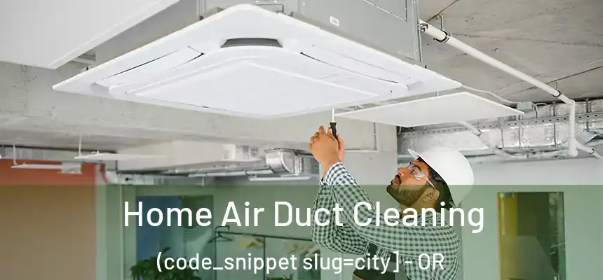  Home Air Duct Cleaning (code_snippet slug=city] - OR