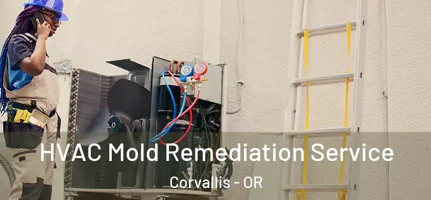 HVAC Mold Remediation Service Corvallis - OR