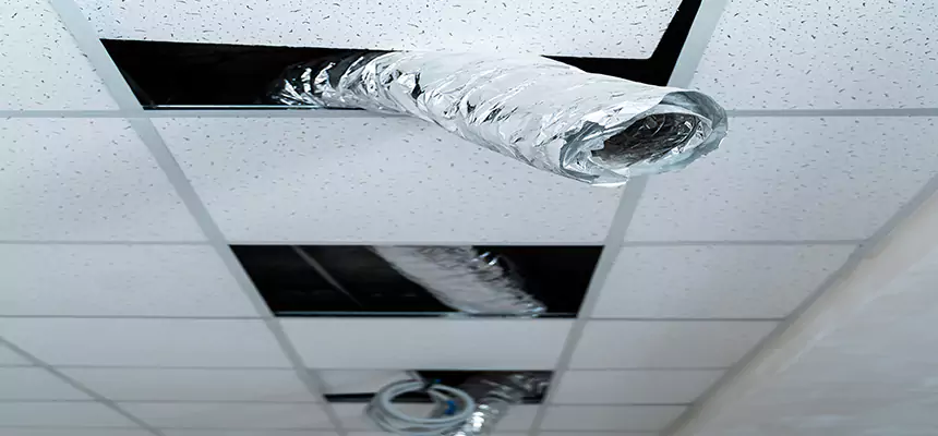 Affordable HVAC Sanitizing After Pest Removal in Corvallis