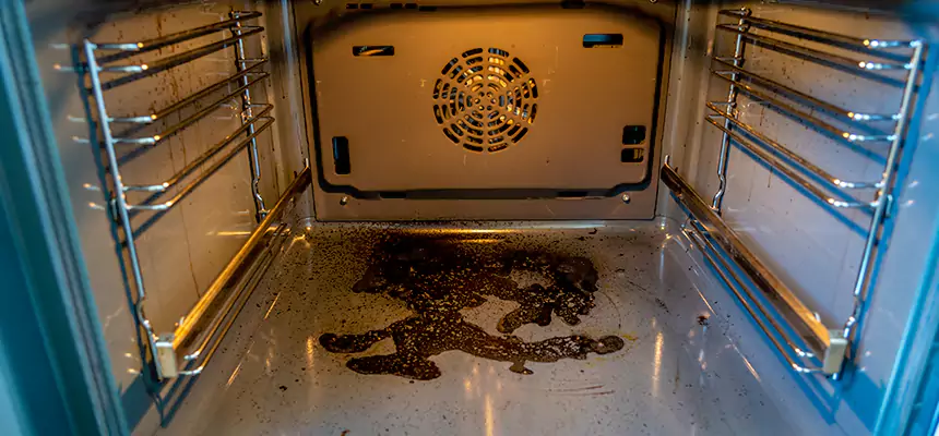 Our Dryer Vent Mold Cleaning Services in Corvallis, OR