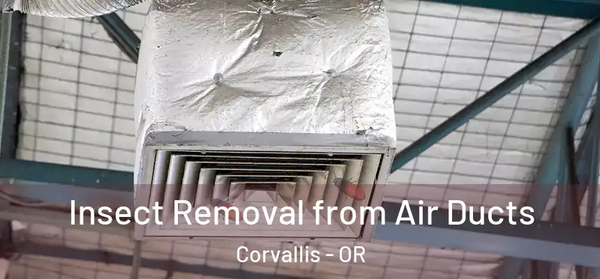  Insect Removal from Air Ducts Corvallis - OR