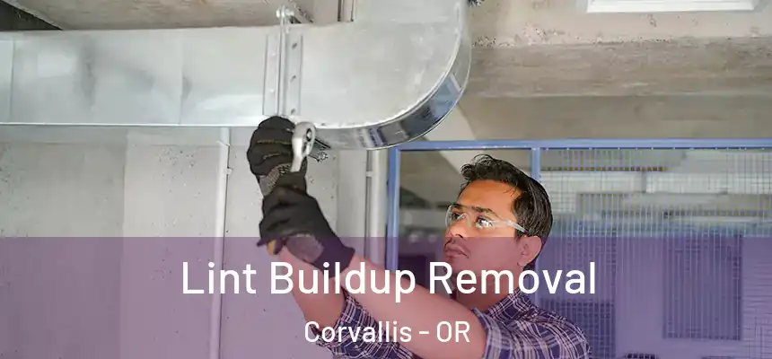 Lint Buildup Removal Corvallis - OR