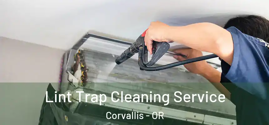 Lint Trap Cleaning Service Corvallis - OR