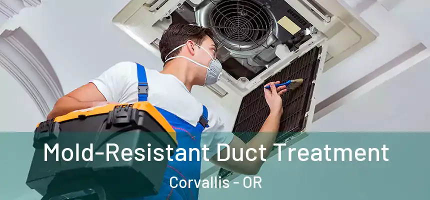  Mold-Resistant Duct Treatment Corvallis - OR