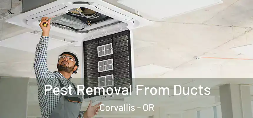 Pest Removal From Ducts Corvallis - OR