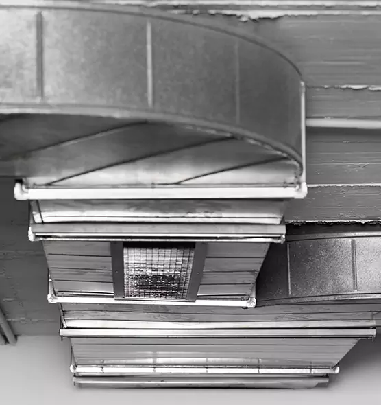 Professional Air Duct Pet Hair Removal in Corvallis, OR