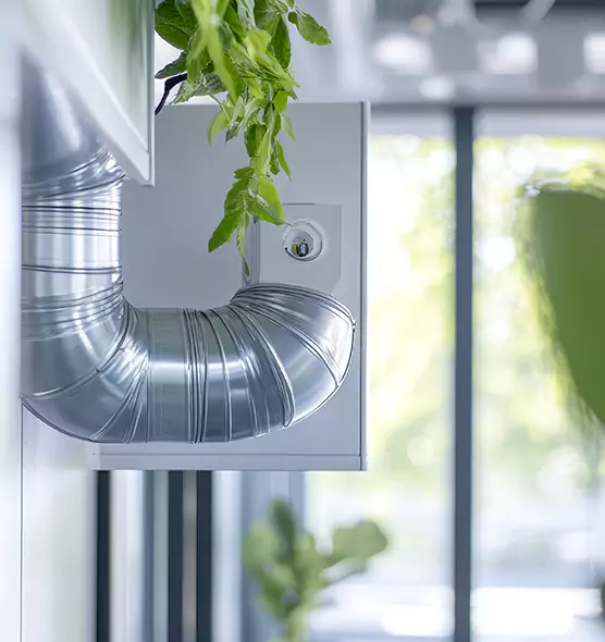 Professional Eco-Safe Dryer Vent Cleaning in Corvallis, OR