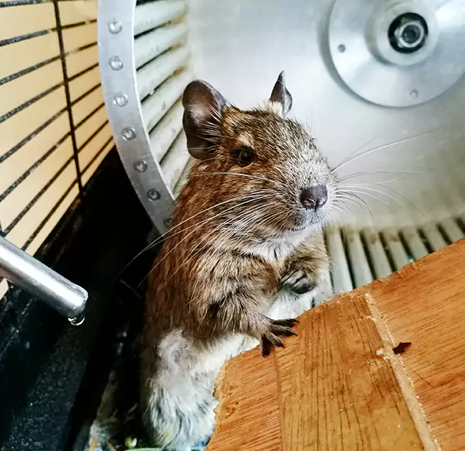 Why Homeowners & Businesses Trust Us Corvallis, OR