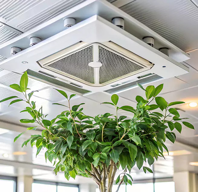 Why Homeowners & Businesses Trust Us in Corvallis, OR