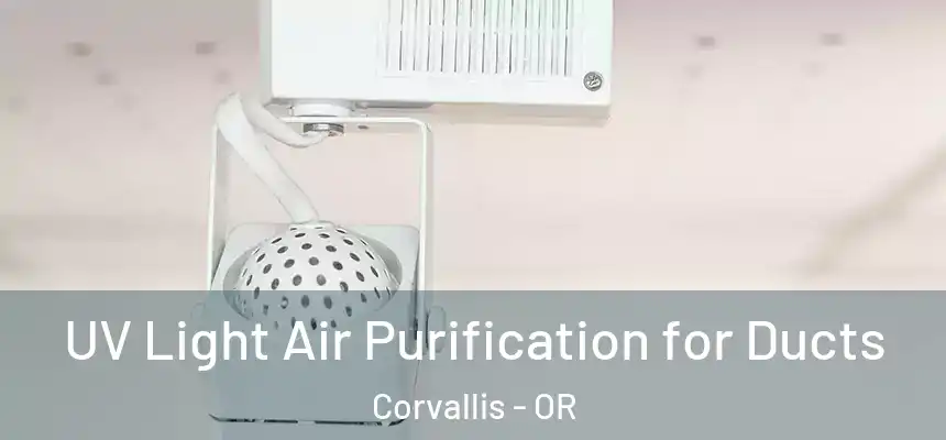 UV Light Air Purification for Ducts Corvallis - OR